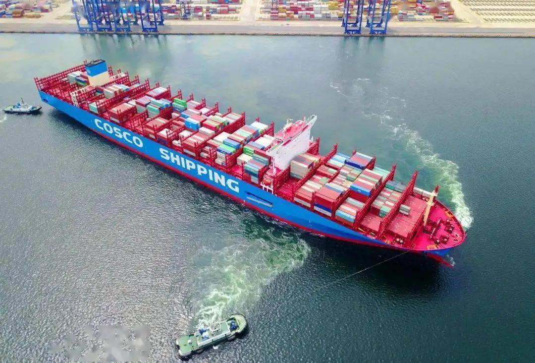 專業國際海運 專業國際海運